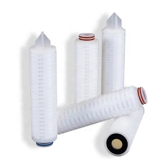 Ts Filter Supply Food Grade 0.2um 10 Inch Pes Membrane Filter Cartridge Element For Biological