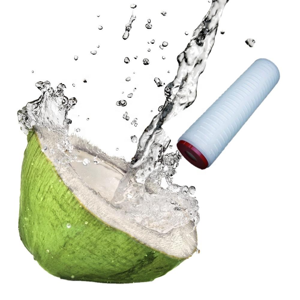 Food Grade 0.45um Absolute Filter Pp Membrane Coconut Water Filter Machine For Organic Coconut Water Purification