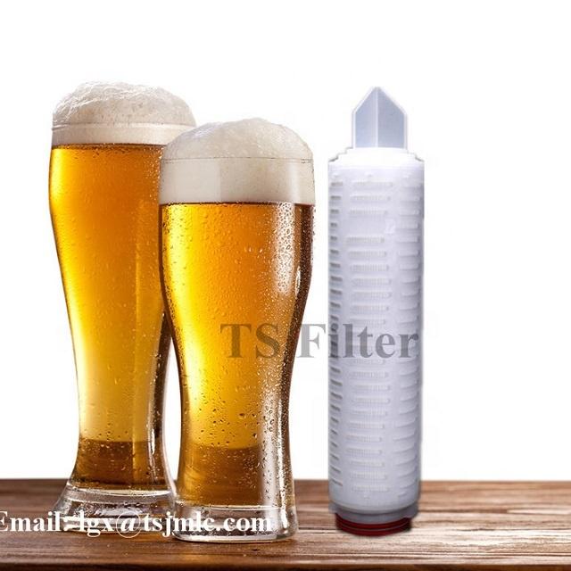 Ts Filter Food Grade 10 Inch 0.2 Micro Pes Membrane Filter Cartridge With 226/fin For Beer Filtration