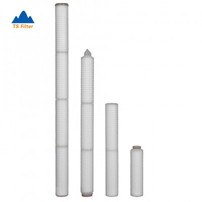 High Accuracy Absolute Rated PES Membrane Filter Cartridge for Disk, Display, Multi Silicon Process Water Filtration